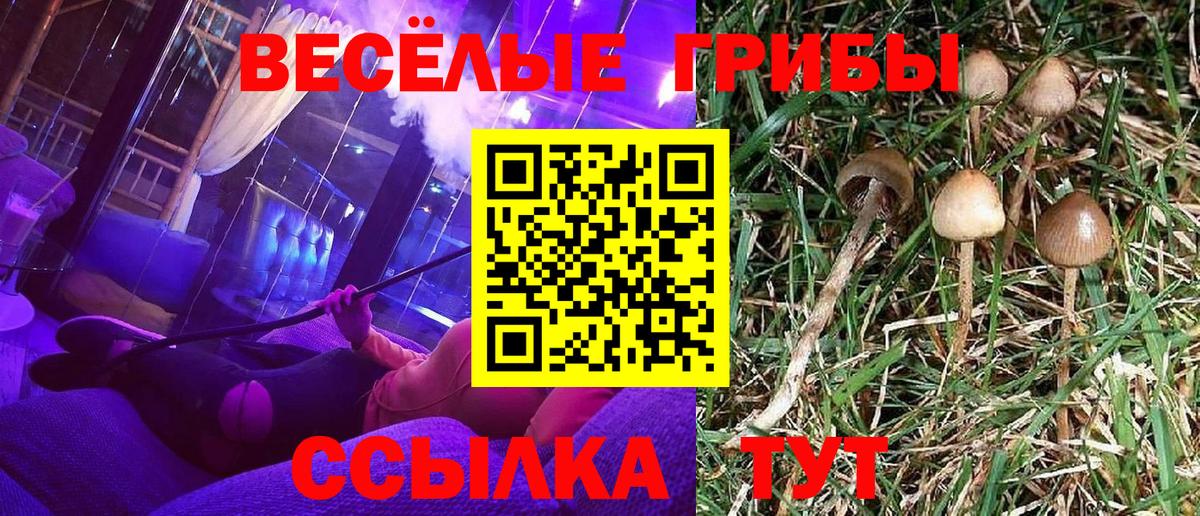 Галлюциногенные грибы MAGIC MUSHROOMS  Галлюциногенные грибы MAGIC MUSHROOMS  Камышлов  Вход с VPN 